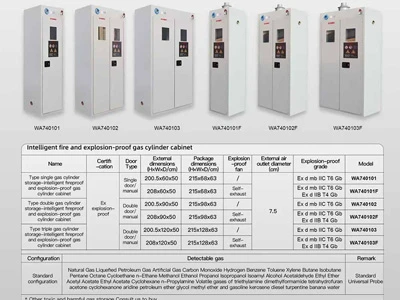 Интеллектуальные пожаро-взрывозащищенные шкафы Sysbel для газовых баллонов